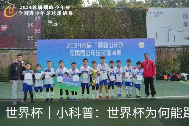 世界杯｜小科普：世界杯为何能踢出那么大的分差？
